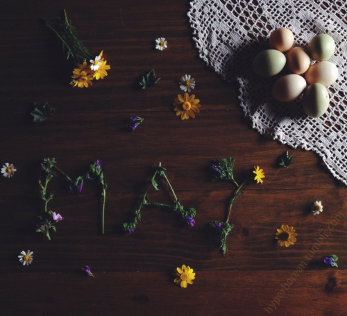 hyperb0rean - Welcome May! ☀️ #mayday #wildflowers #homesteading