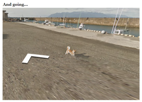 recommend:Dog Ruins Every Frame of Google Street View by Chasing the Camera (x)