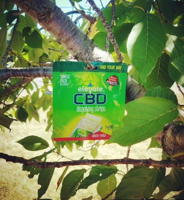#Repost @elevatecbd.usa (@get_repost) ・・・ 🌲 GOOD THINGS REALLY DO GROW ON TREES🌲 ☆☆☆ 🍀ELEVATE CBD GINGER PEACH DISSOLVING STRIPS🍑 ☆☆☆ 🌲 ORDER TODAY ON ELEVATECBD.COM🌲 #repost