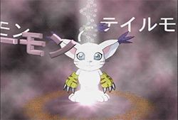 notsosubtlegaymer:  Digimon Adventures 01 Gatomon to Angewoman