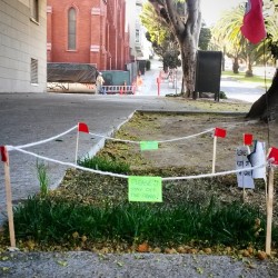 This tiny gnome or fairy lawn is just one square foot but has its own signs and a wee little fence. #fairy #gnome #sanfrancisco #DoloresPark #art #modernart #streetart #chibi #cute #tiny #magical #installation