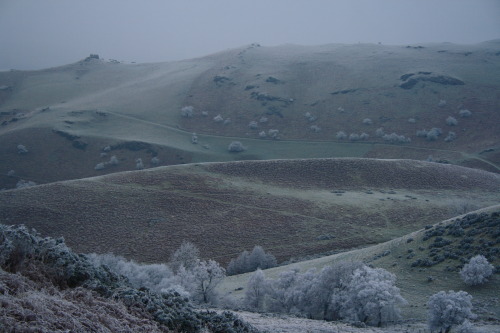 expressions-of-nature:Shropshire, England by Nigel Jones