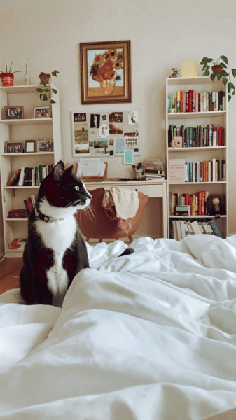 alwaysbringabookwithyou:27.06.2021 This is a cottagecore cat appreciation post. Insta: