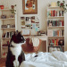 alwaysbringabookwithyou:27.06.2021 This is a cottagecore cat appreciation post. Insta: