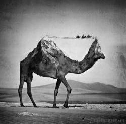 culturenlifestyle:  Black and White Photo Manipulations Featuring AnimalsAmerican artist Sarah Deremer’s project titled, Surreal Experiments is heavily inspired by the presence of animals. A once veterinary technician, Deremer’s surreal black and
