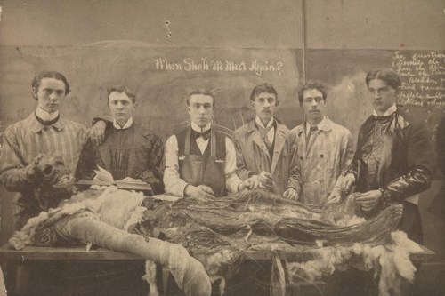 Dissection room, Wellcome Images, ca. 1900