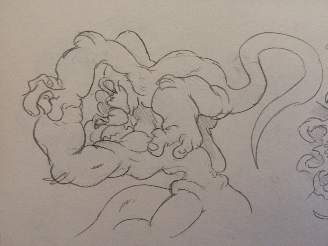 Doodles