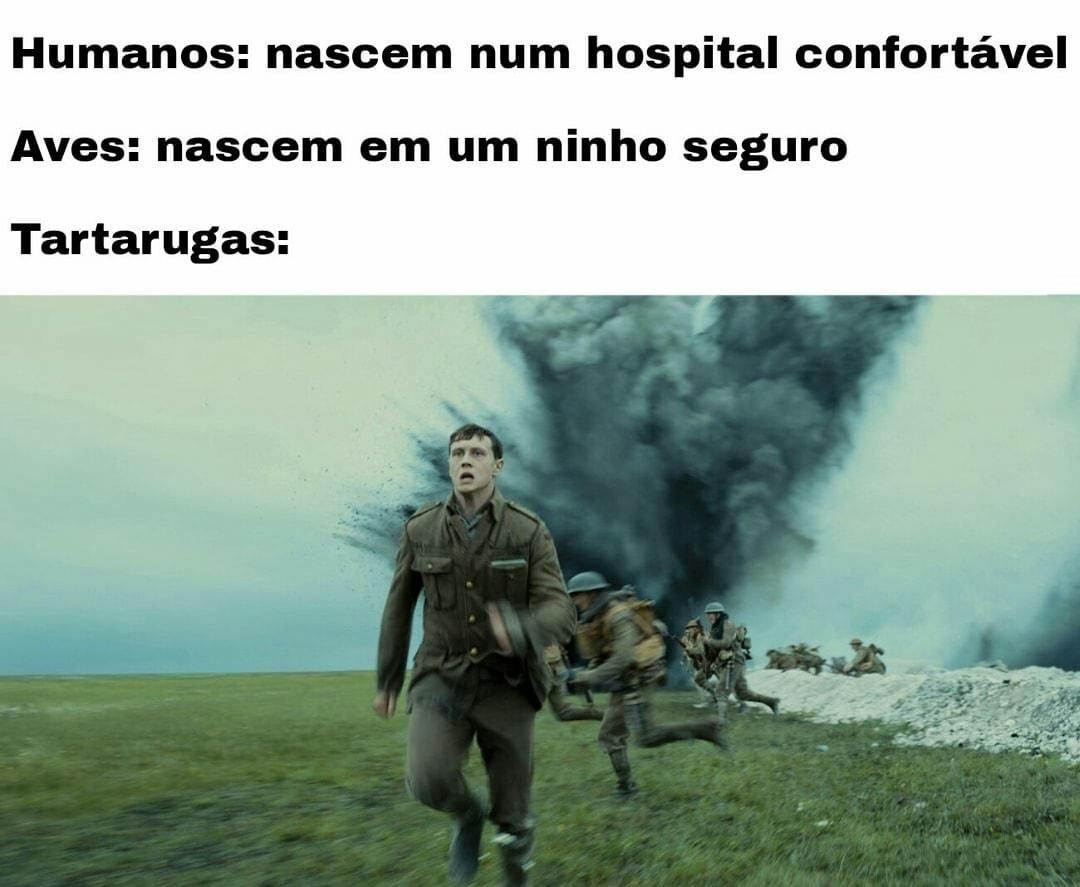 Um Jovem Bem Humorado — Pin em Memes engraçados