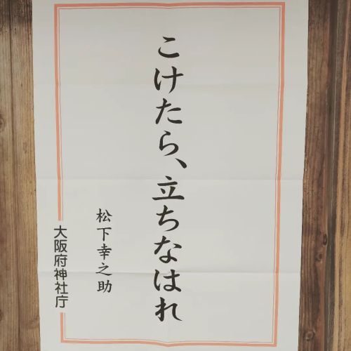 navelmarron:いつもお詣りする神社にて。 はい。 何度でも立ち上がります! 自分自身に言い聞かせます。 深い言葉ですね。 #こけたら立ちなはれ  #松下幸之助  #神社 #参拝  #格言 #