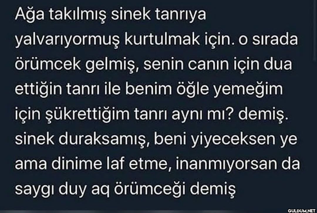 Ağa takılmış sinek tanrıya...