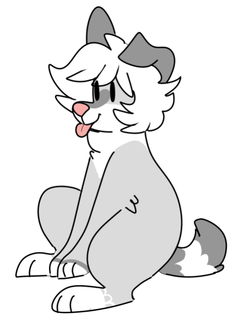 q-tipp:bee is now a dog,,,