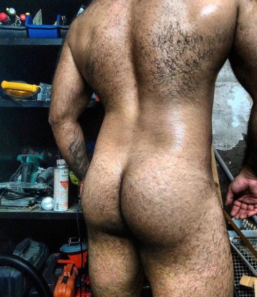 ruckusdog:  I leaned Animal Husbandry in 4H. This is breeding stock.