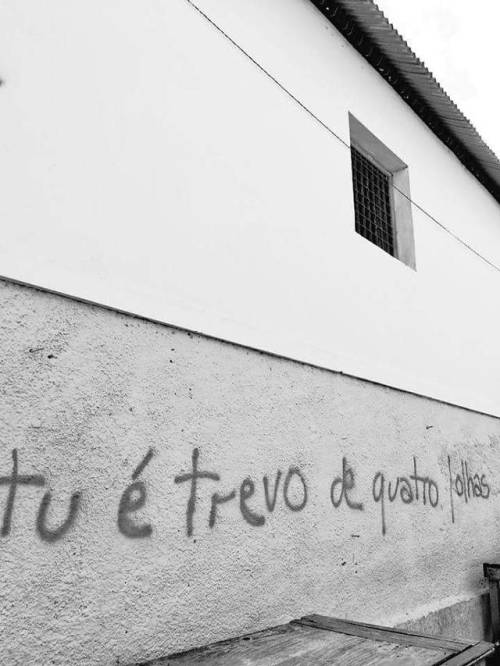 srcafajestte:  $$