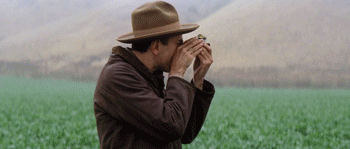 paulthomasfanderson:  There Will Be Blood (2007) directed by Paul Thomas Anderson cinematography by Robert Elswit 