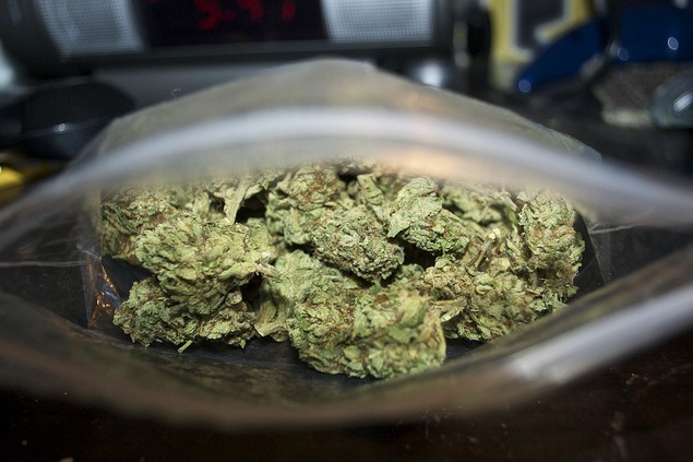 the-cannabis-queen:  We’re now on Instagram ! Follow us @alwaysmoreweedhttps://instagram.com/alwaysmoreweed/