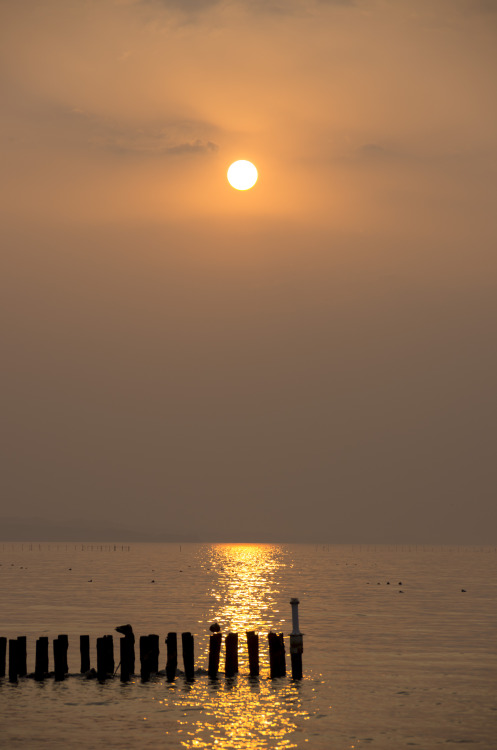 宍道湖の夕日。このあと雲に隠れた。もう。