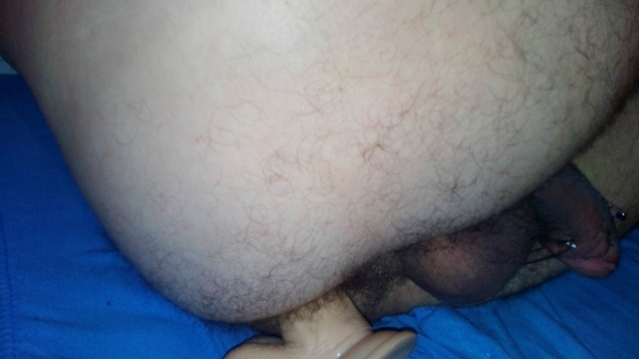 Schwein entspannt sich