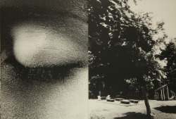 miss-catastrofes-naturales:  Daido Moriyama