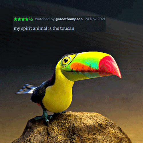 Encanto + Letterboxd Reviews