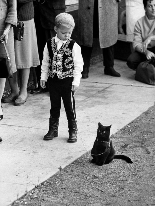 chandri: thesanityclause: felineillusion: 1961, Hollywood, California. Following a newspaper casting