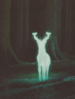 lets-runaway-and-get-lost:  Hipster/Indie/Romantic blog! I follow