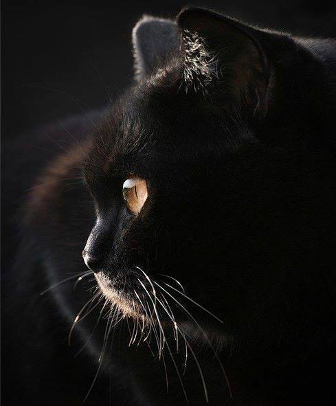 Catching My Eye...