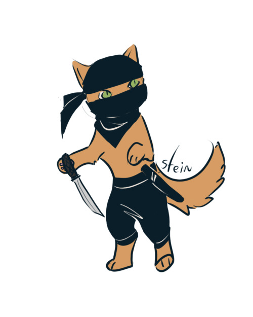 starlightstripes:Ninja cats!