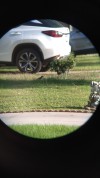 Porn Pics I tried holding my binoculars up to my phone