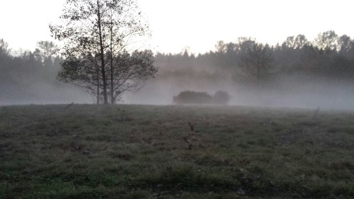 Porn photo codyopsis:  Sitting in the middle of a field