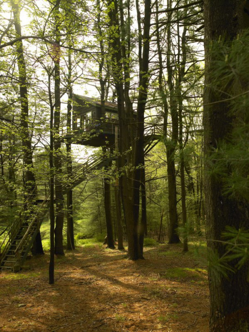 treehauslove:  Treehouse of Dreams. A treehouse with a balcony built sixty-feet up in a white pine by American designer Todd Oldham. It is fun bright and full of handmade items. Located in Pennsylvania. 