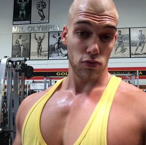 builddudebuild:  My big motivator, Mischa Janiec  Fucking swole chest appreciation post!