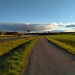 Just a autumn evening walk