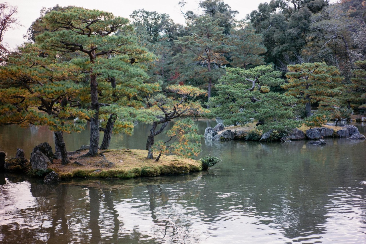 Walking around in Kyoto
November 2019
Instagram | YouTube