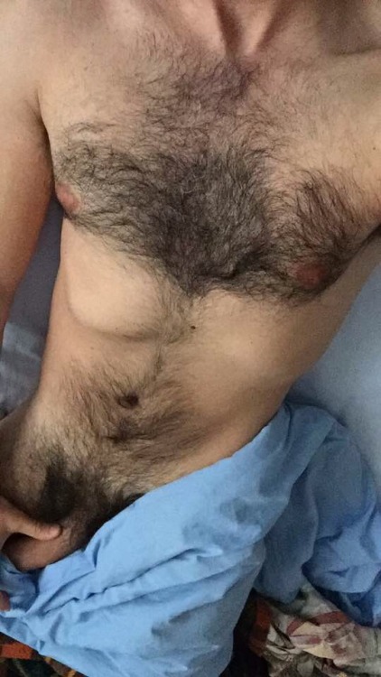 virvirilis:Diary of a lazy otter, chapter XXV: bedtime stories