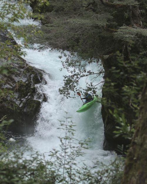 Upper Palguin // @pas_haut_leau @la.repa #lastweekofquarantine #kayak #chile #whitewater #aventure