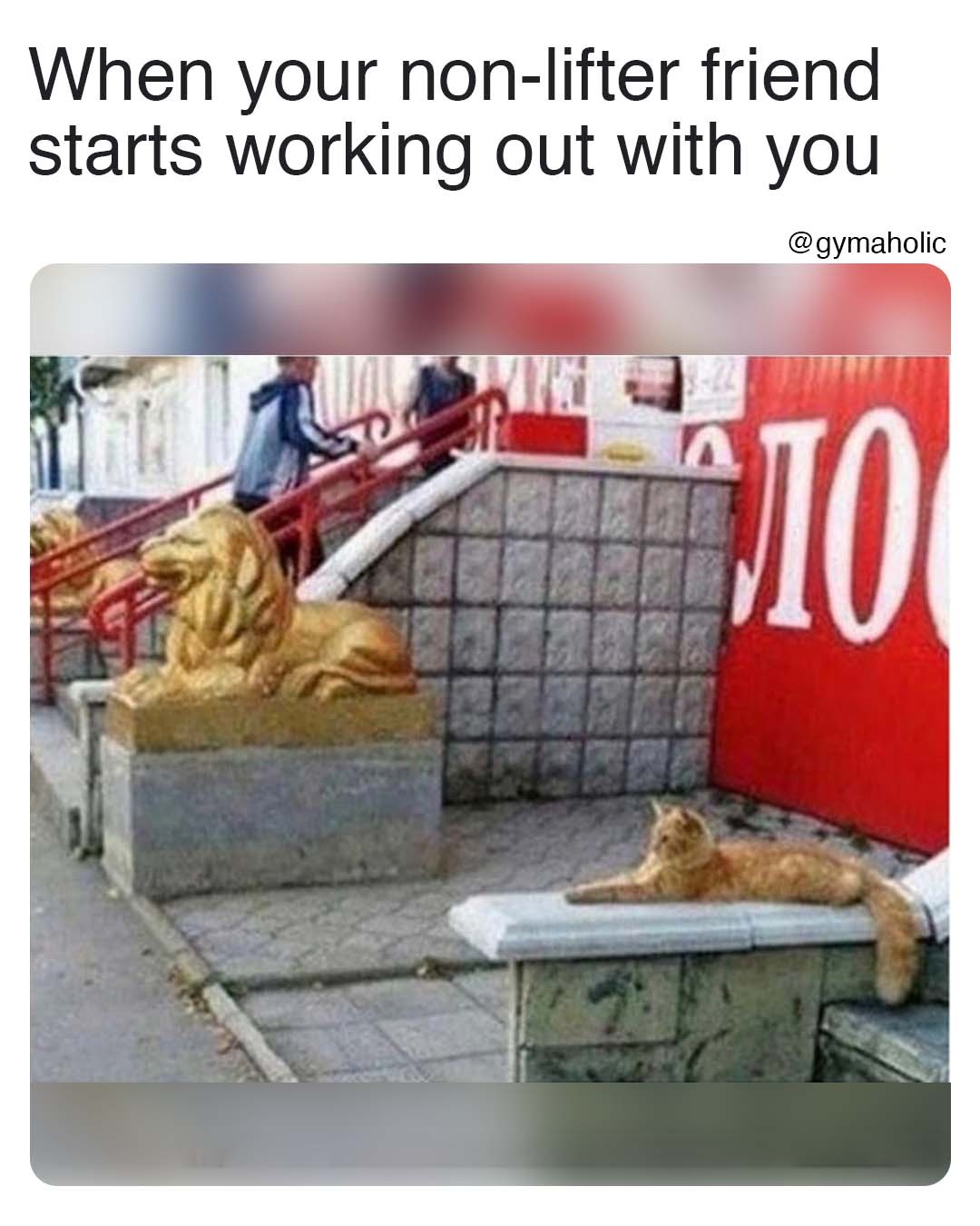 When your non-lifter friend starts working out with you