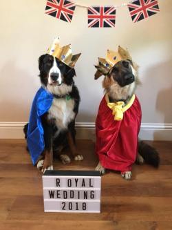 tastefullyoffensive:  The only royal wedding