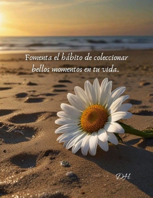 Foster The Habit Of Collecting Beautiful Moments In Your Life.