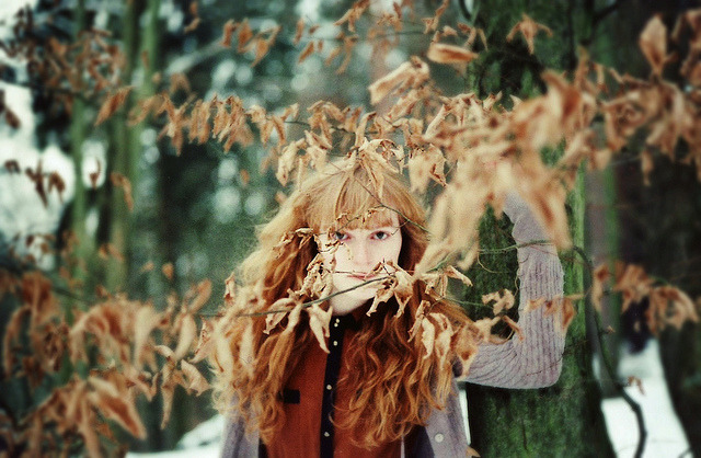 nostalgic-dreaming:  dried leaves on my tree by worteinbildern on Flickr. 
