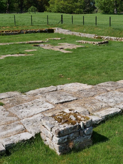 Central Hall, Shrine and Courtyard, Chesters Roman Fort, Hadrian’s Wall, Northumberland, 13.5.18.Thi