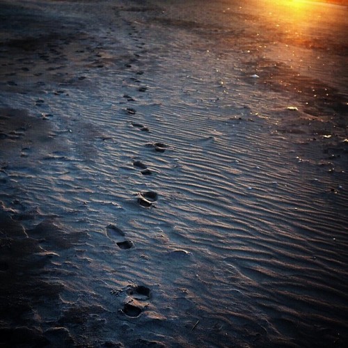 Rockaway Beach, Queens | March 22, 2014 Follow me to tomorrow.