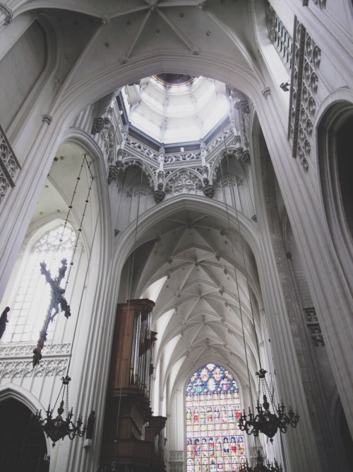 moscowcoffee:Cathedral of Our Lady, Antwerp, Belgium.
