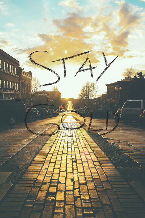 bronsonsnelling:  Stay Gold x Bronson Snelling