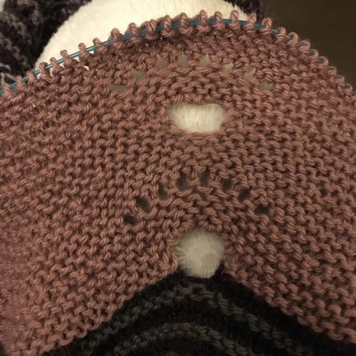 I now see why this section is called “Kitty Paws”  #knitting #knittersofinstagram #knitt