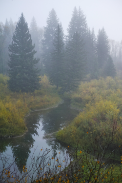 expressions-of-nature:by Luminous West