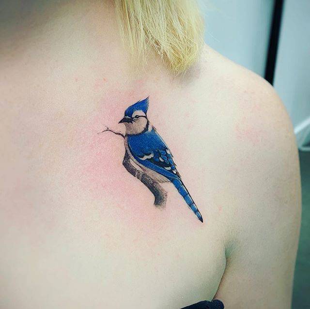 Blue Jay Tattoo Explore Tumblr Posts And Blogs Tumgir