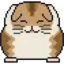 hamsterredondo