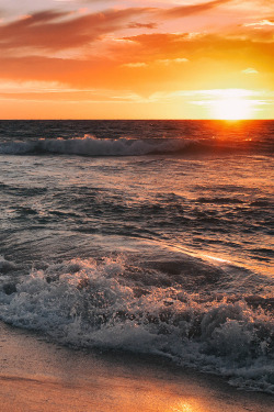 plasmatics:  Sunset by Andrew Lance |(Website) 