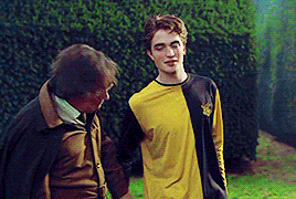 Remember That, And Cedric Diggory Will Not Have Died In Vain.