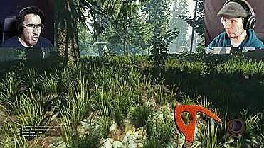 lissachan504:  IN GAME ACTION